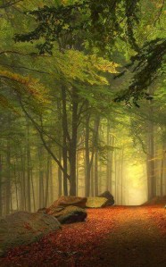 pathway from sue lim