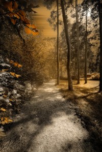 Tranquility by Ditte Søndergaard Iversen