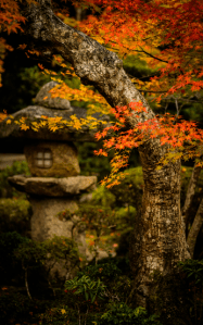 Autumn Rest from Sule Lim