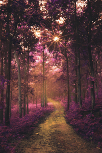 camino-al-pais-maravillas from mia mirjam