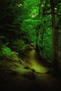 Fairytale par Anders J.