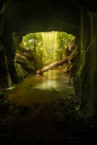 Inside by Gerald Berliner