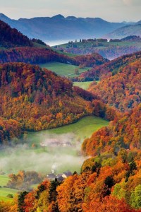 Meadows from Sue Lim