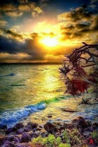 Nature from anastasia latibashvili