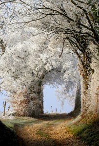 o-poarta-spre from Yuri Prokhorov