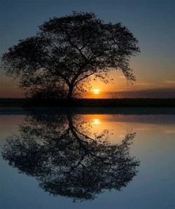 sunset from Andres Van Den Hurk