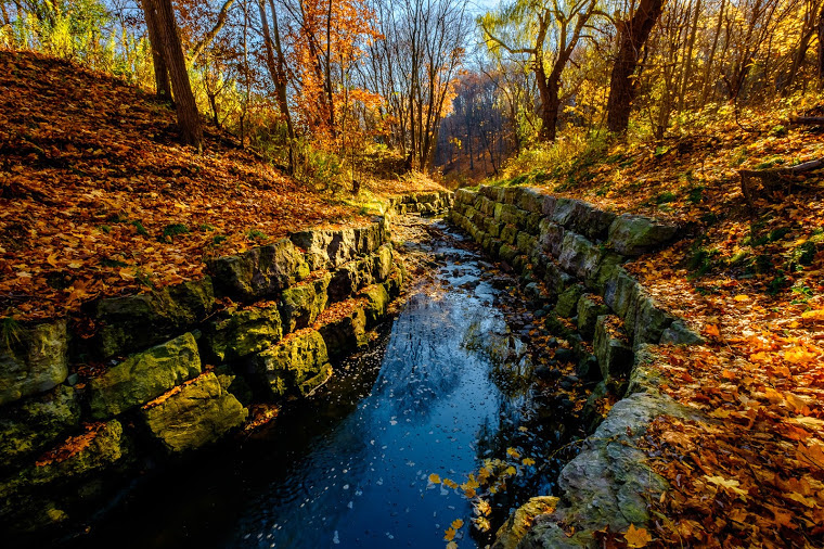 Aumtumn from Leigh Miller