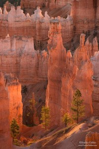 Bryce Canyon by Michael Russell