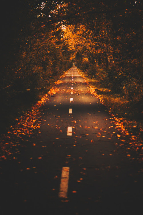 Bucket girls from Sue Lim