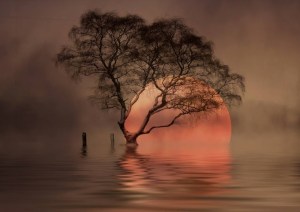 Sunrise by by Veronika Pinke