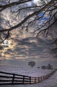 Winter field from Park Kyoung Min