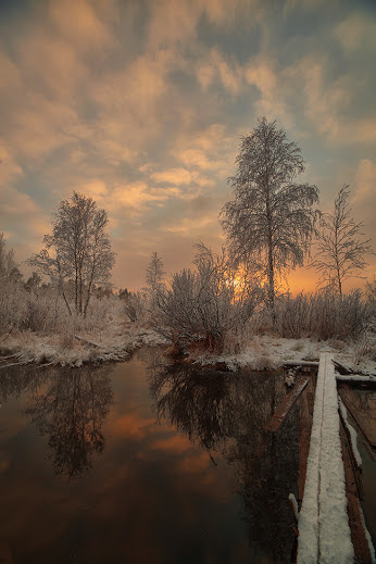 Winter from Andrey Mashnich