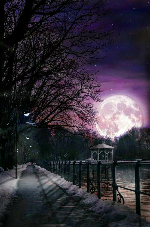 Moonlit (2) from Sue Lim