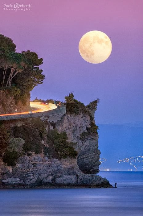 moonlit from flor de dalia xiu