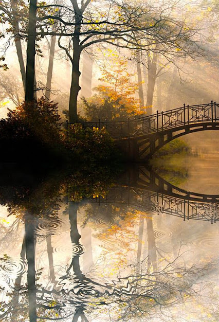 Most_nad_prudom from Yuri Prokhorov