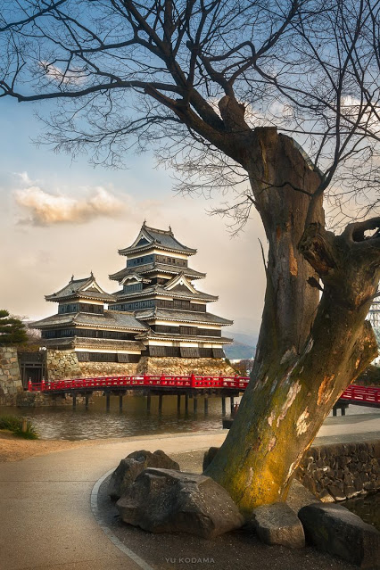 Samurai spirit by Yu Kodama