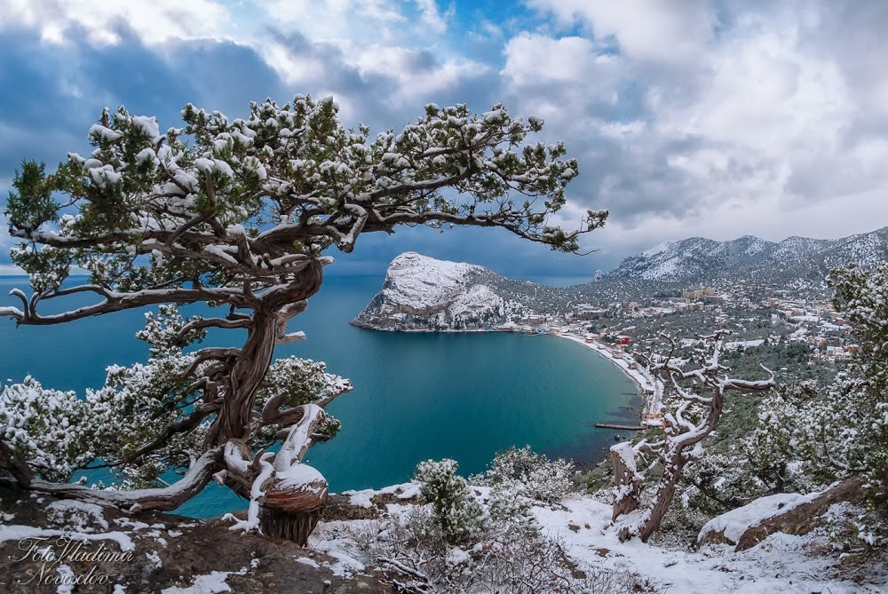 winter from Vladimir Novodov