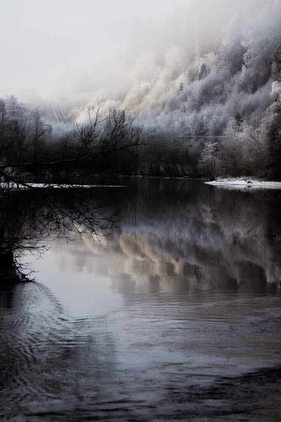 Winters from Sue Lim