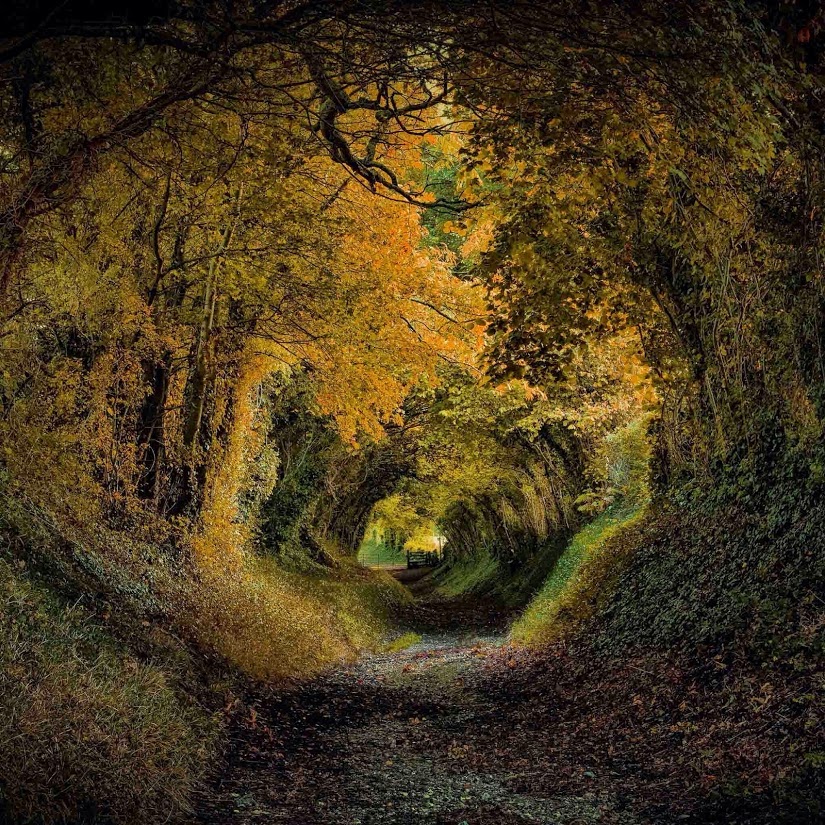 Fall from Raweewan Songjad (1)