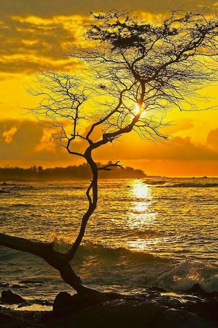 Hawaii from K. JIRA.jpg