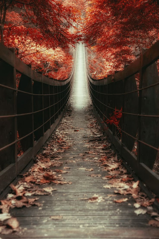 heaven par Hanson Mao