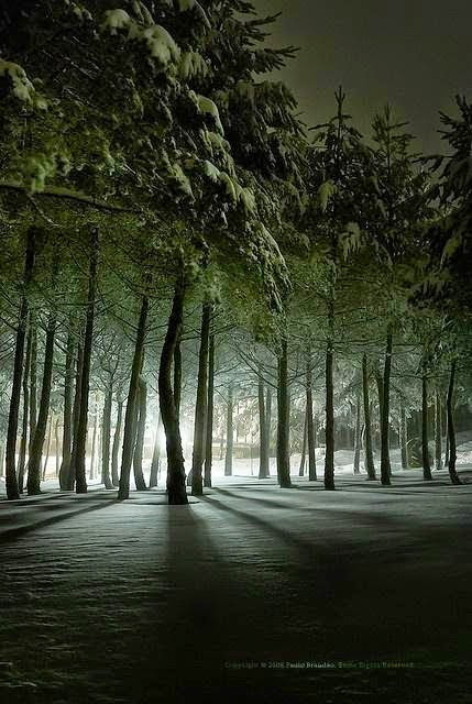 Winter's night from Sue Lim