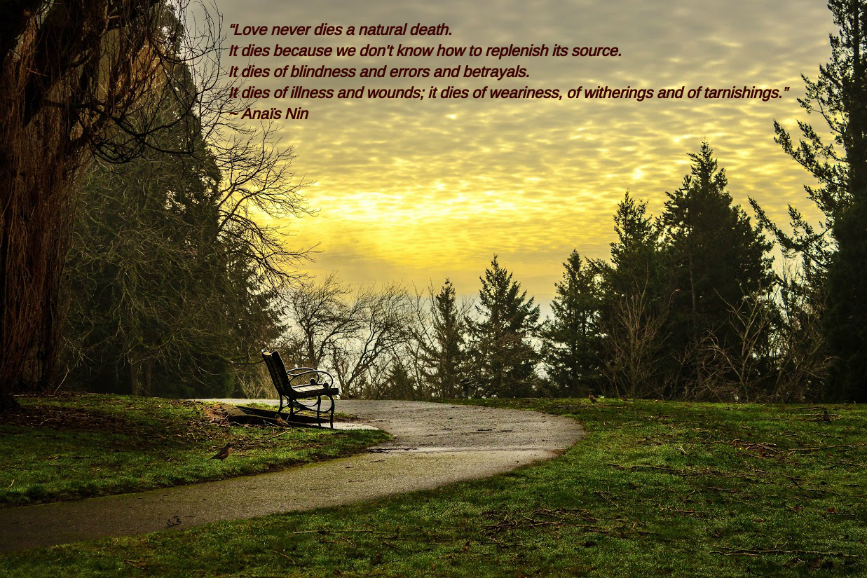 Council Crest Park by Carolina Echaniz