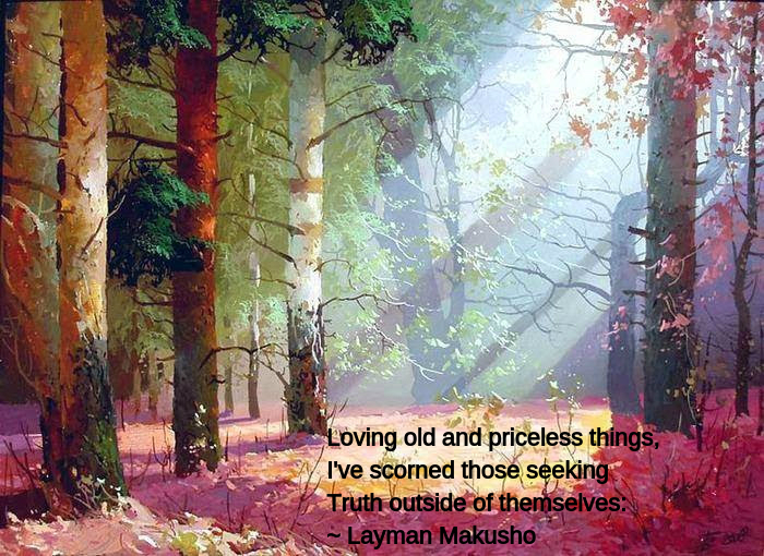 Forest from eva maria bollero mayo