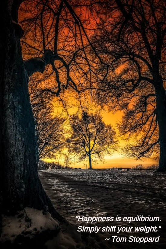 Infrared world by Girardet Karl (1)