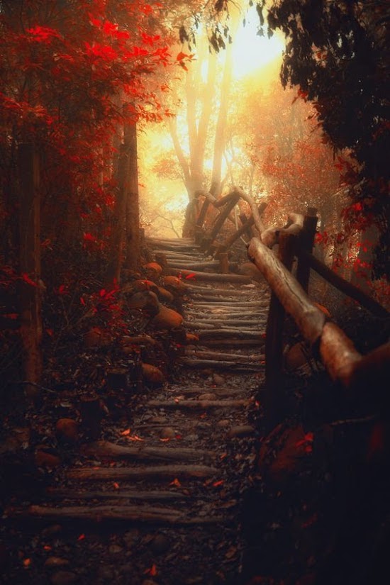 light by Hanson Mao(毛延延)