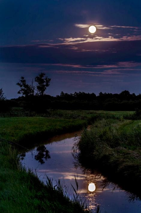moonlit from Gloria García