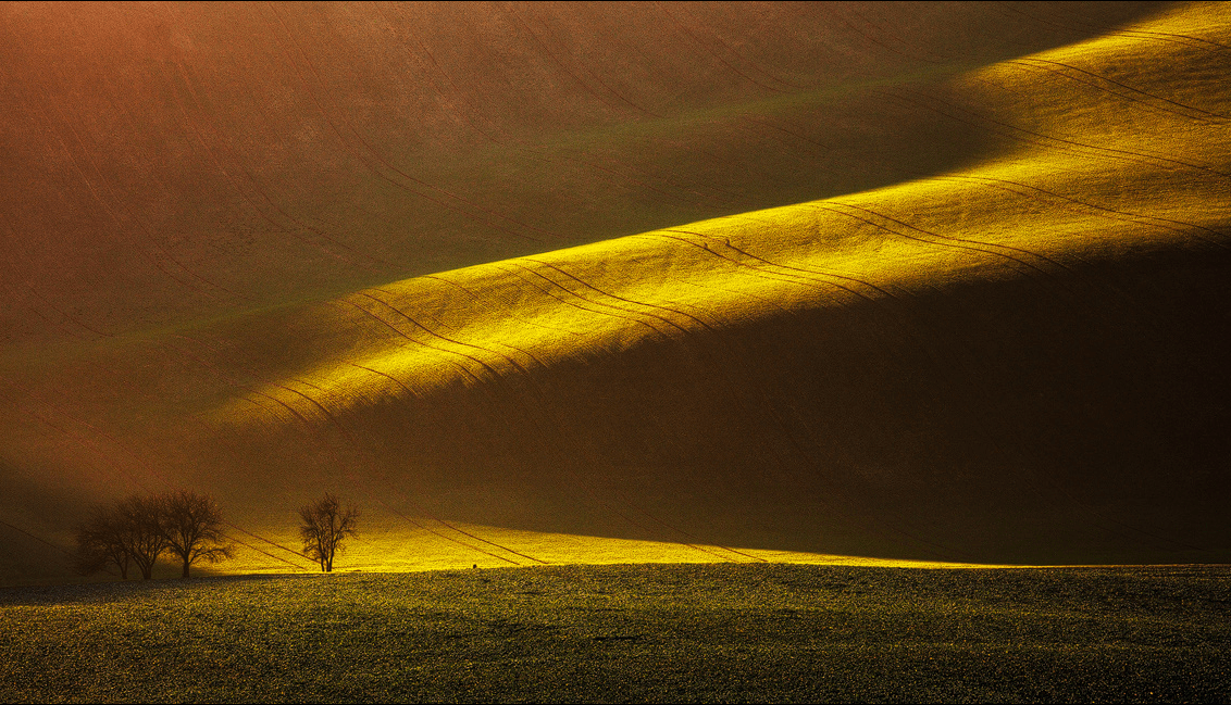 Moravian lines by Martin Rak