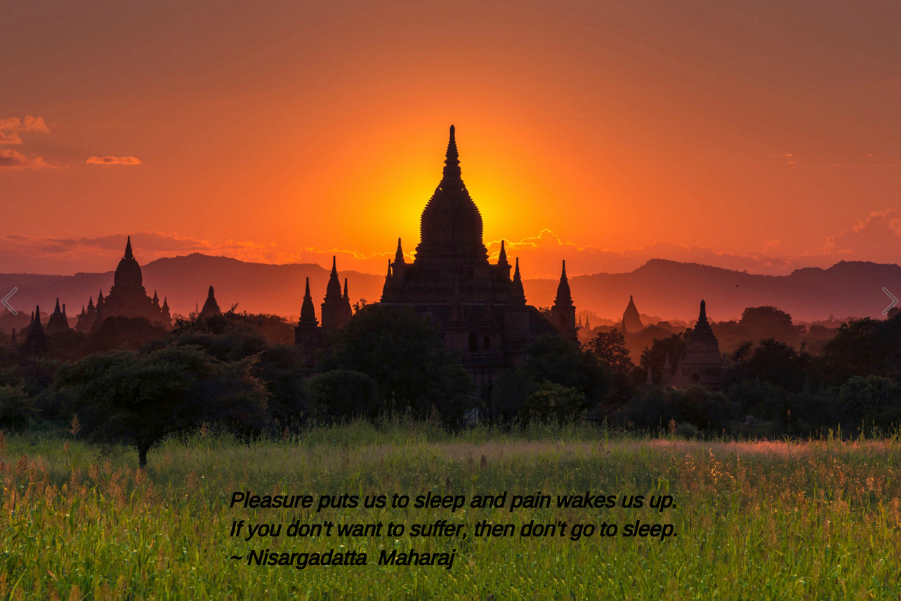 Pagoda from Francis Palma