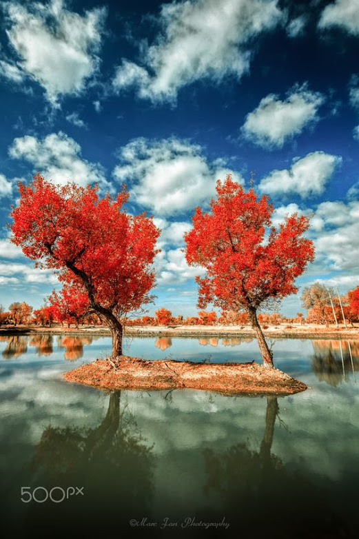 Xinjiang by Marc Fan