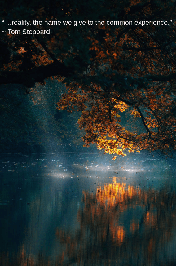 lights by Thomas Ramackers