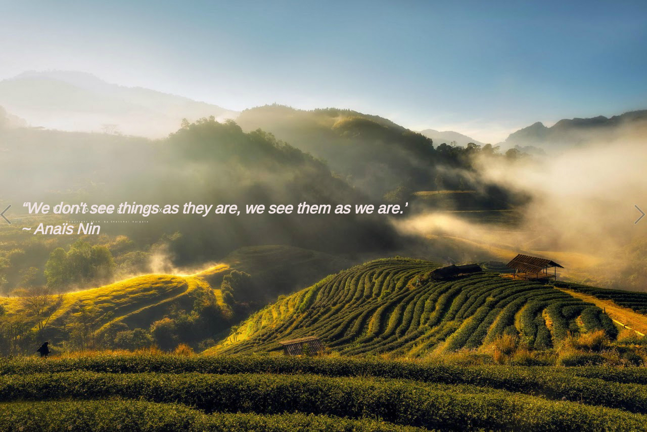 Tea terrace from DoctorEgg