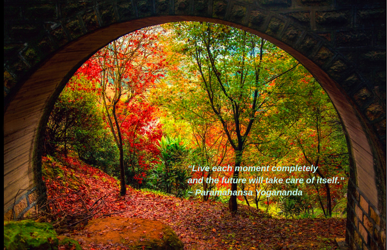 bridges by Hanson Mao