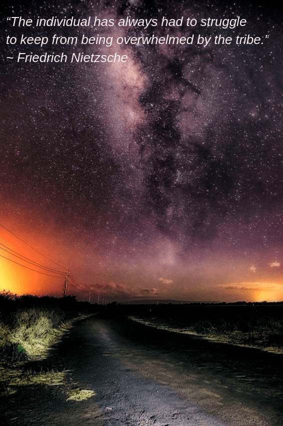 Dark Horse from Pretzel Logic