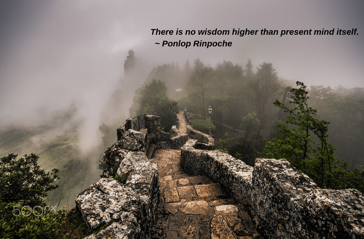 Fog by Fabrice Bisignano