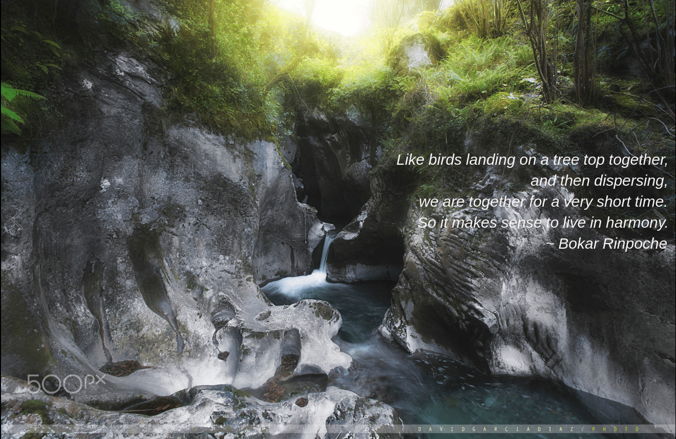 life among the stones by David Garcia