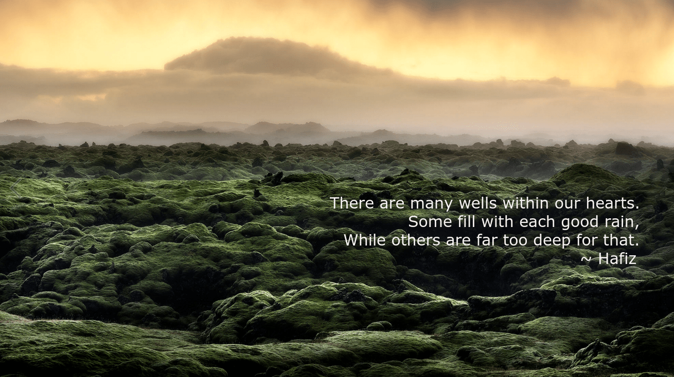 Mosscape by Kaspars Dzenis