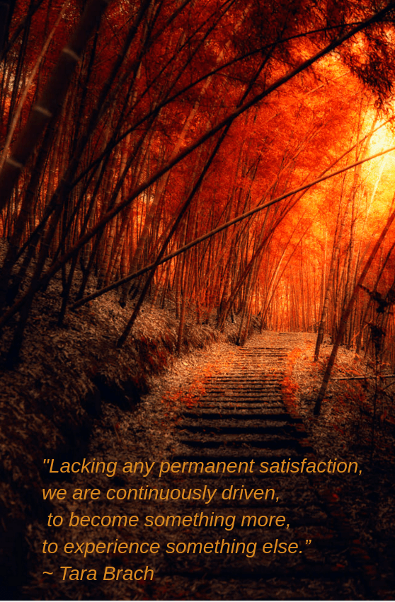 red path by Hanson Mao