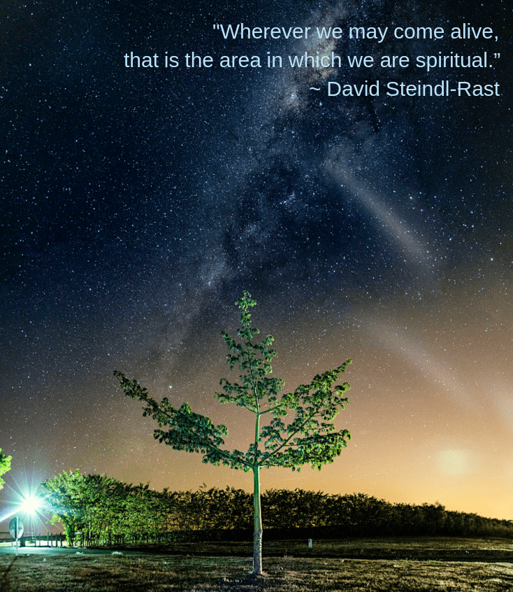 Treetop by VICTOR LIMA