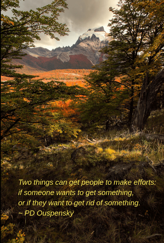 Autumn colors by WildEssence