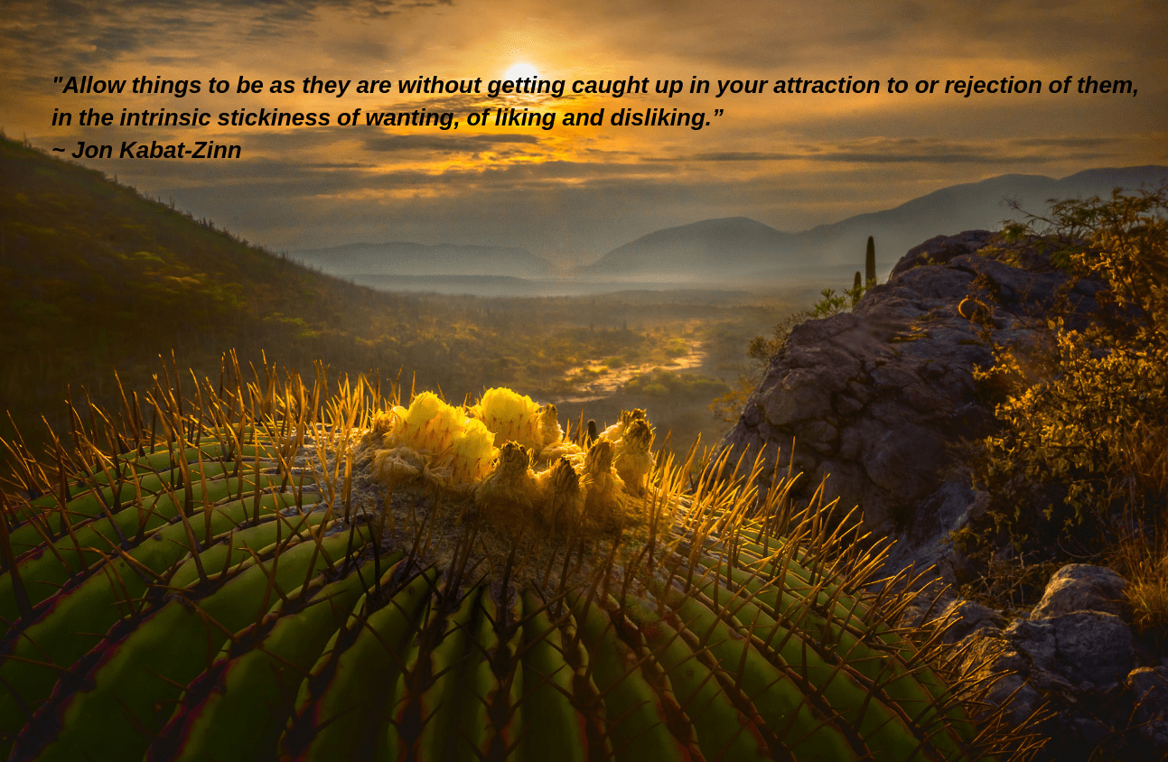 Biznaga sunrise from Luis Lyons