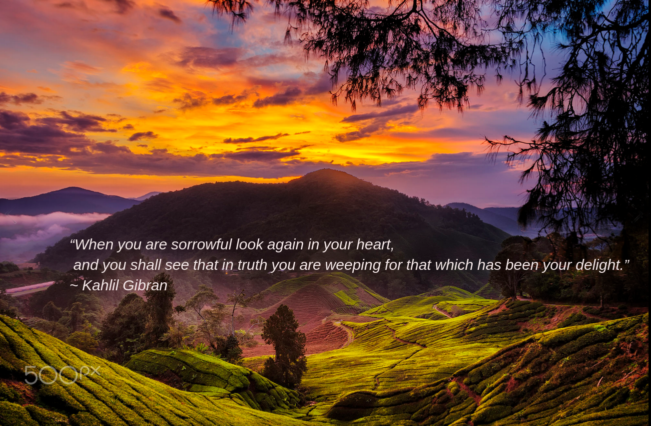 Cameron Highlands by Kin Wah Joseph Wong