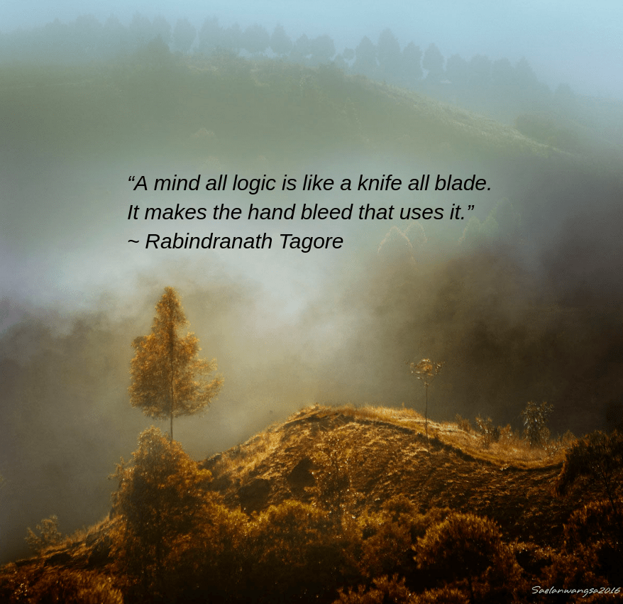 Mist by Saelanwangsa