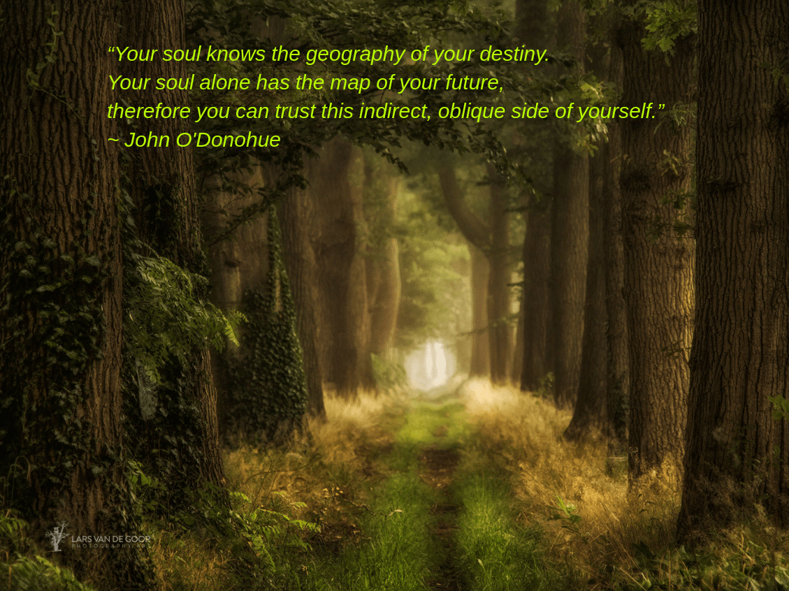 Pathway from Lars van de Goor