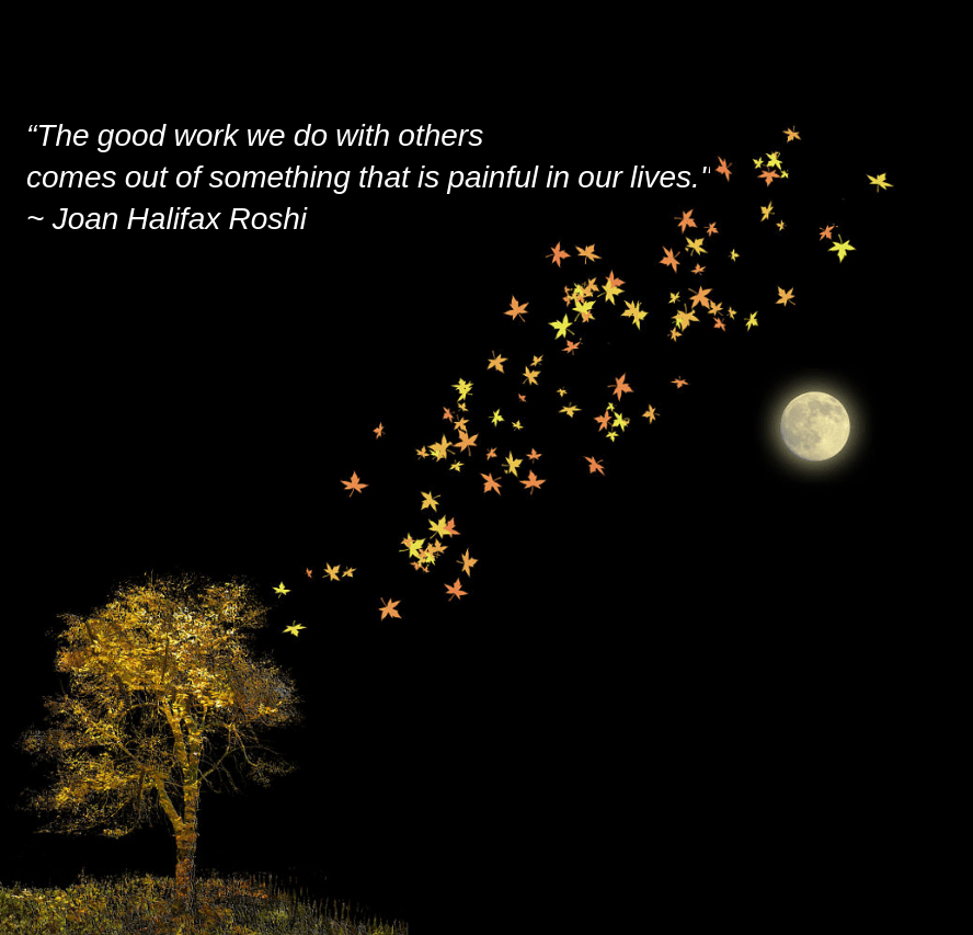 Fall from peter holme