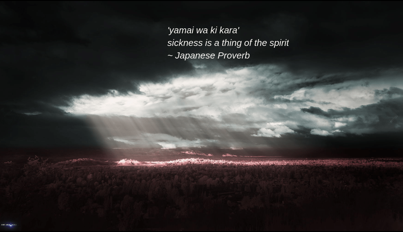 Forest by Baber Afzal